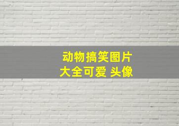 动物搞笑图片大全可爱 头像